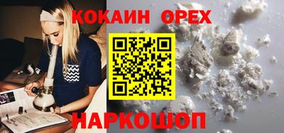 крисы Ливны