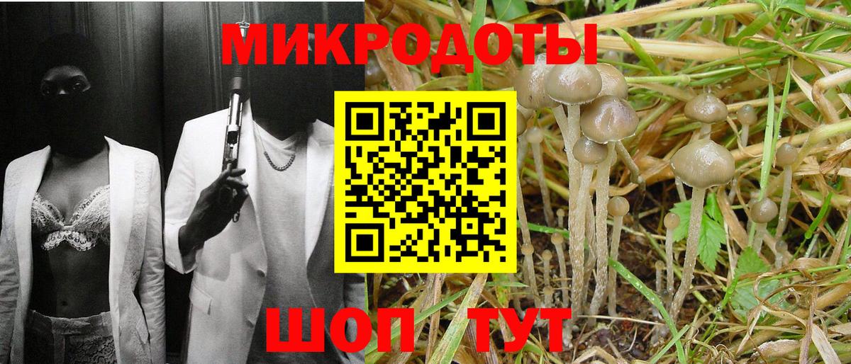 Псилоцибиновые грибы Psilocybe  Вход с VPN  Великий Новгород 